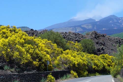 LA GINESTRA E LA SUA TERRA