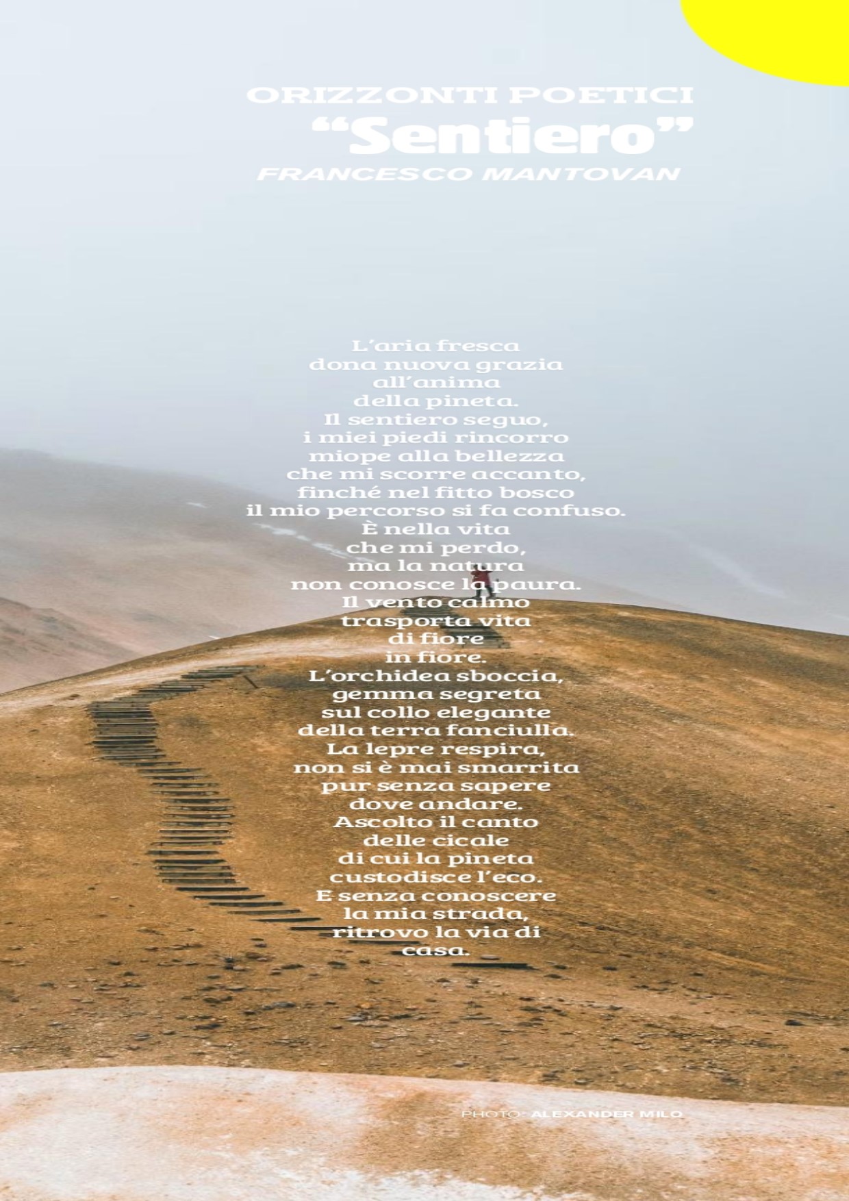 “Sentiero”